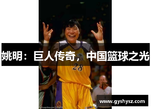 姚明：巨人传奇，中国篮球之光