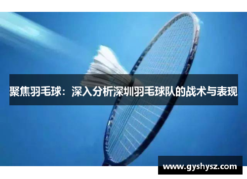 聚焦羽毛球：深入分析深圳羽毛球队的战术与表现