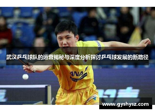 武汉乒乓球队的运营揭秘与深度分析探讨乒乓球发展的新路径